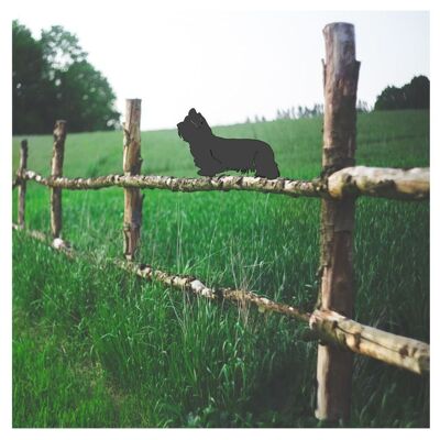 Surmatelas de clôture Skye Terrier