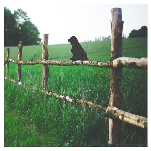 Springer Spaniel Sitting Fence Topper