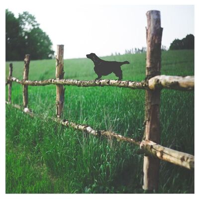 Welsh Springer Fence Topper