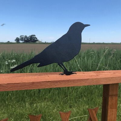 Topper de clôture Blackbird