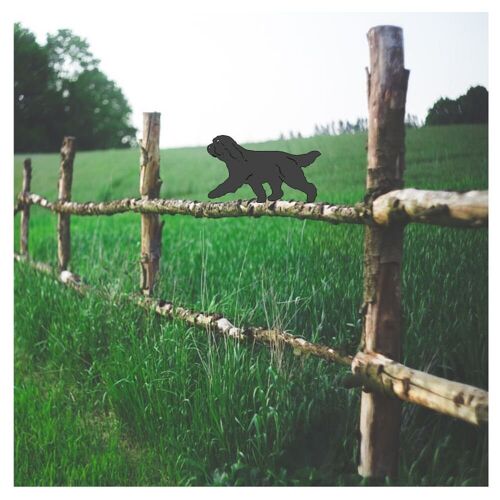 Bearded Collie Fence Topper