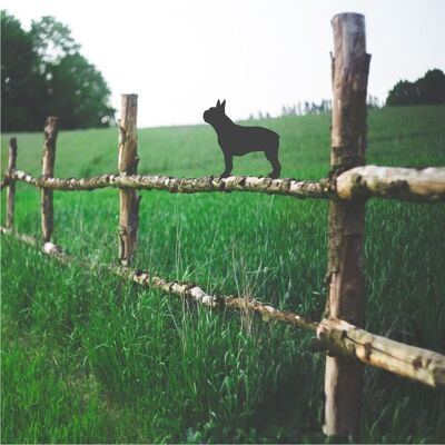 Boston Terrier Fence Topper