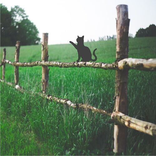 Cat Playing Sat Fence Topper