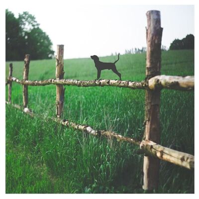 Topper de clôture Coonhound