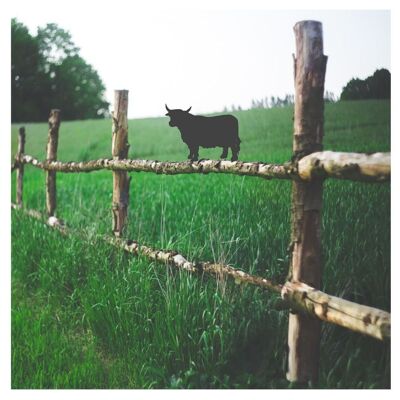 Highland Cow Fence Topper