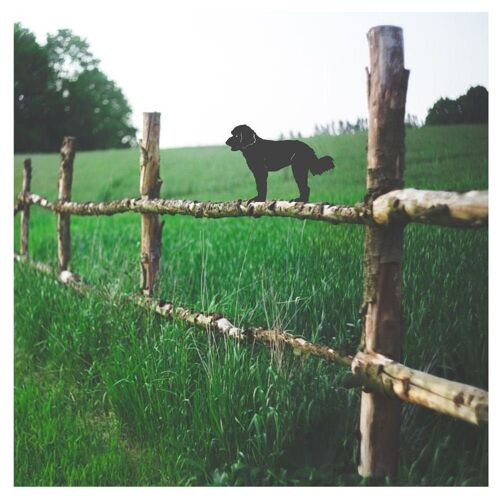 Labradoodle Fence Topper