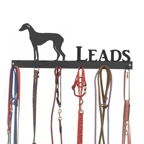 Azawakh Lead Hook 6 Hook Lead Tidy