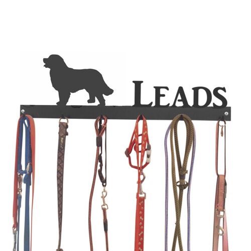 Bernese Mountain Dog Lead Hook 6 Hook Lead Tidy