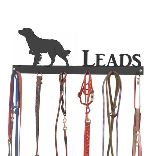 Brittany Spaniel Lead Hook 6 Hook Lead Tidy