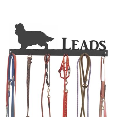 Cavalier King Charles Spaniel Lead Hook 6 Hook Lead Tidy