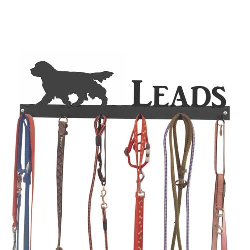 Clumber Spaniel Lead Hook 6 Hook Lead Tidy