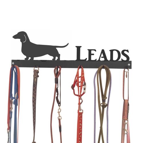 Dachshund Smooth Hair Lead Hook 6 Hook Lead Tidy