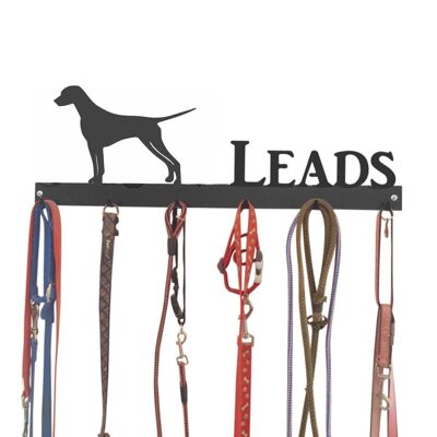 Dalmation Lead Hook 6 Haken Lead Tidy