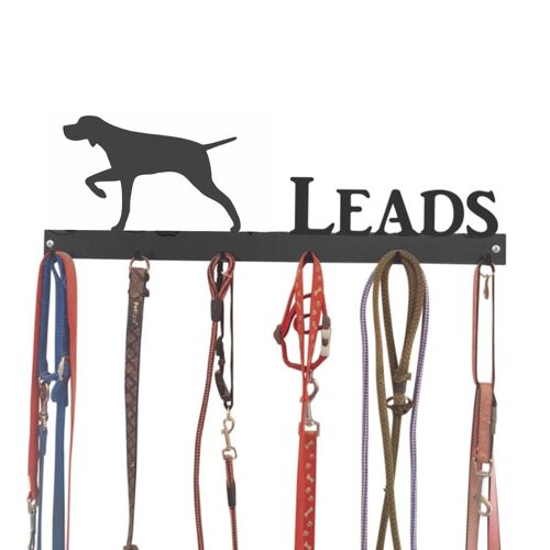 English Pointer Lead Hook 6 Hook Lead Tidy