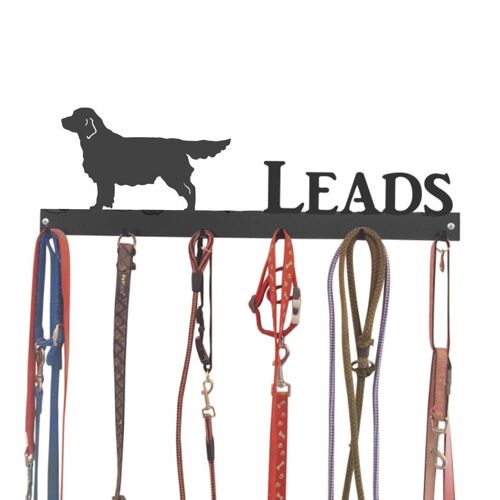 Golden Retriever Lead Hook 6 Hook Lead Tidy