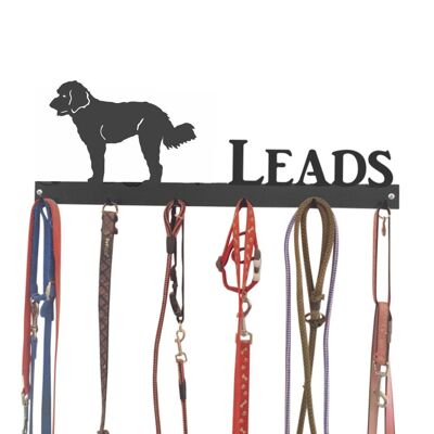 Labradoodle Lead Hook 6 Hook Lead Tidy