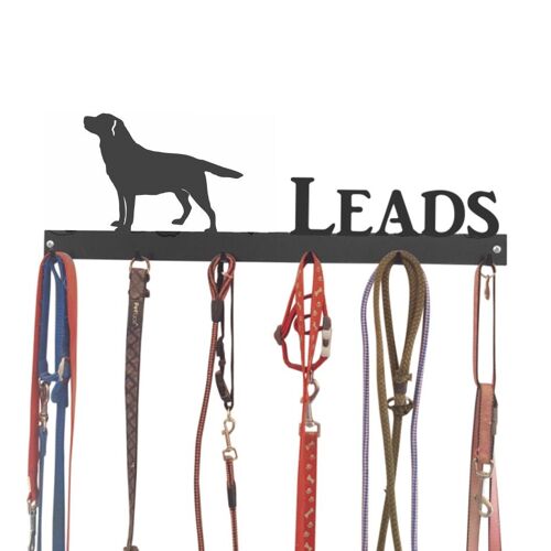 Labrador Lead Hook 6 Hook Lead Tidy