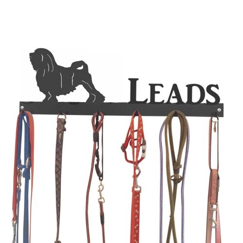 Lowchen Lead Hook 6 Hook Lead Tidy