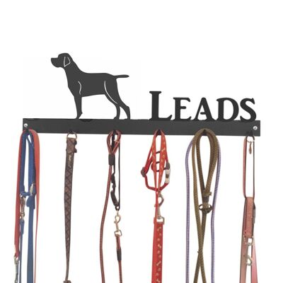 Portuguese Pointer Lead Hook 6 Hook Lead Tidy