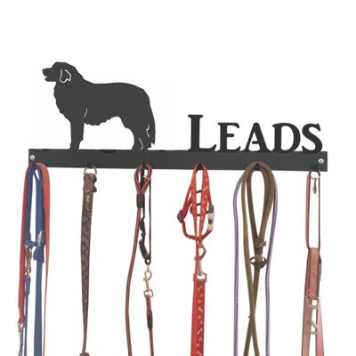 Pyrenean Mountain Dog Lead Hook 6 Hook Lead Tidy