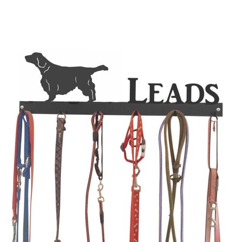 Welsh Springer Spaniel Lead Hook 6 Hook Lead Tidy