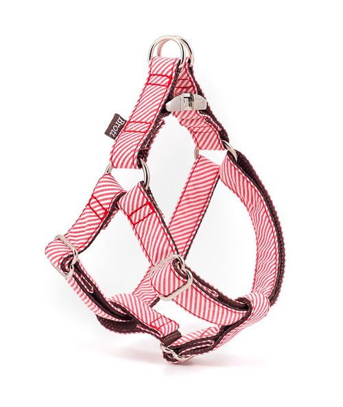 Harness Textura Amposta L