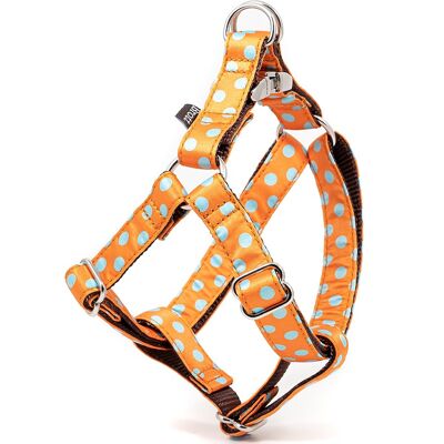 Harness Textura Pola L