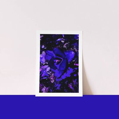 Dipped - Blue - 5 x7 inch