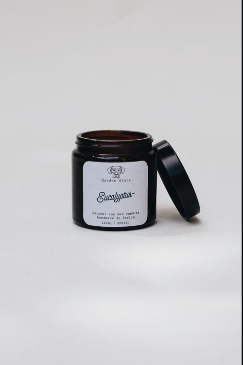 Eucalyptus Candle 120ml