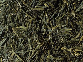 The vert sencha chine 1