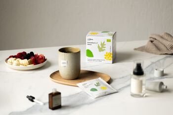 Infusions de plantes bio - Remède N°7 - Détox - Boîte de 10 x sachets de thé emballés individuellement 3