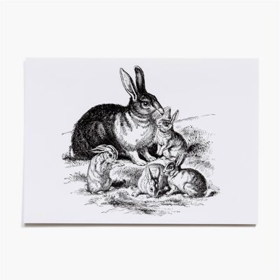 Carte postale rabbit family