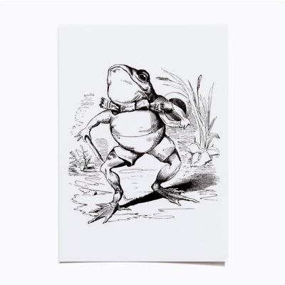 Carte postale frog