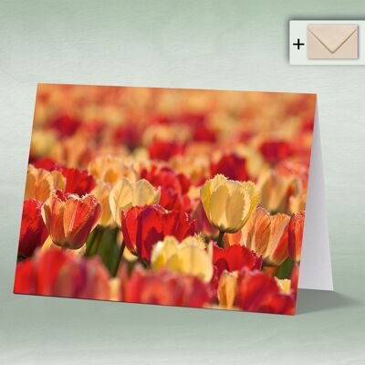 Greeting card, Doppelkarte 8141