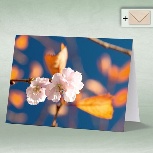 Greeting card, Doppelkarte 8146