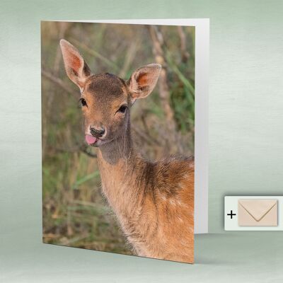 Greeting card, Doppelkarte 8145