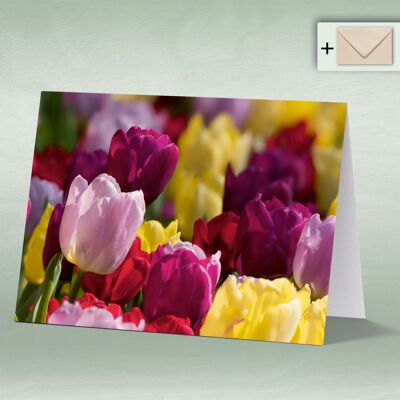 Greeting card, Doppelkarte 8142