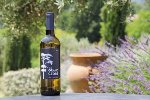 Vin Le Grand Cèdre Blanc - Cuvée 2021