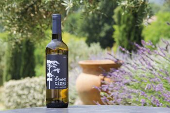 Vin Le Grand Cèdre Blanc - Cuvée 2023
