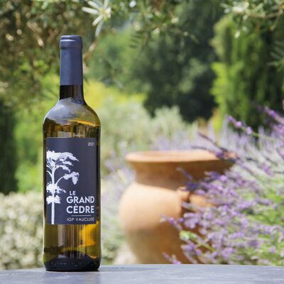 Wine Le Grand Cèdre Blanc - Cuvée 2021