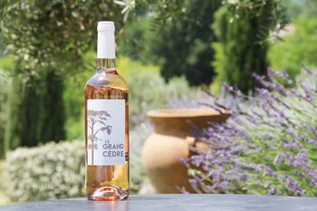 Vin Le Grand Cèdre Rosé - Cuvée 2023