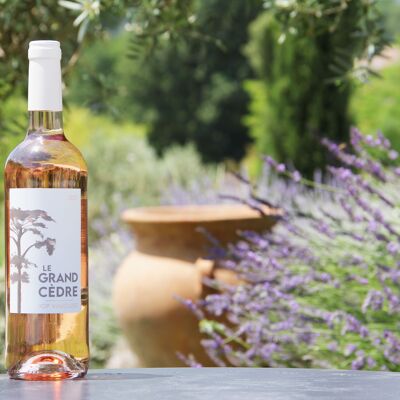 Wein Le Grand Cèdre Rosé - Cuvée 2021