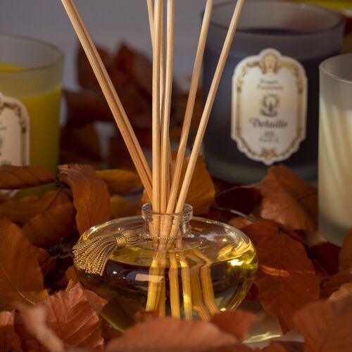 Home fragrance diffuser, Encens Boisé