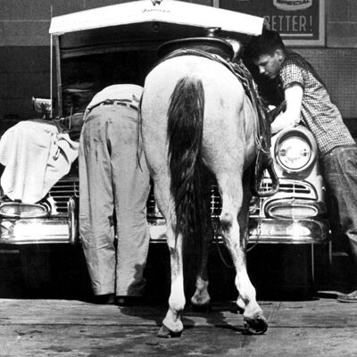 Dos hombres y un caballo mirando la tarjeta de felicitación en blanco del coche