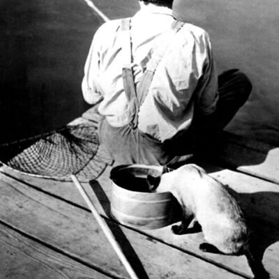 Mann angeln und Katze essen die leere Grußkarte der Würmer