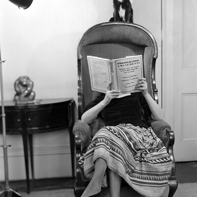 Femme lisant avec un chat sur le dos de la carte de voeux vierge de chaise