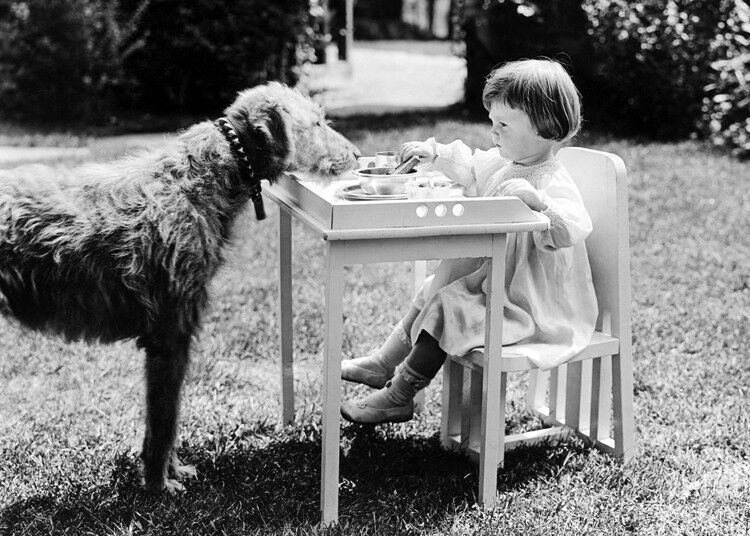 Girl & Dog at table blank greetings card