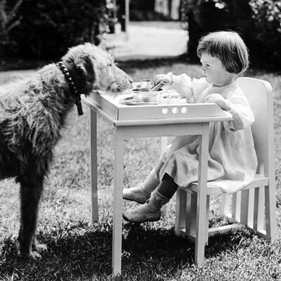Girl & Dog at table blank greetings card