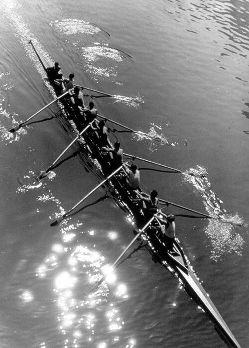 Rowing eight from above blank greetings card