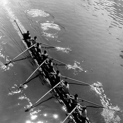 Rowing eight from above blank greetings card
